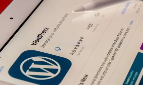 Charly King | The importance of updating Wordpress