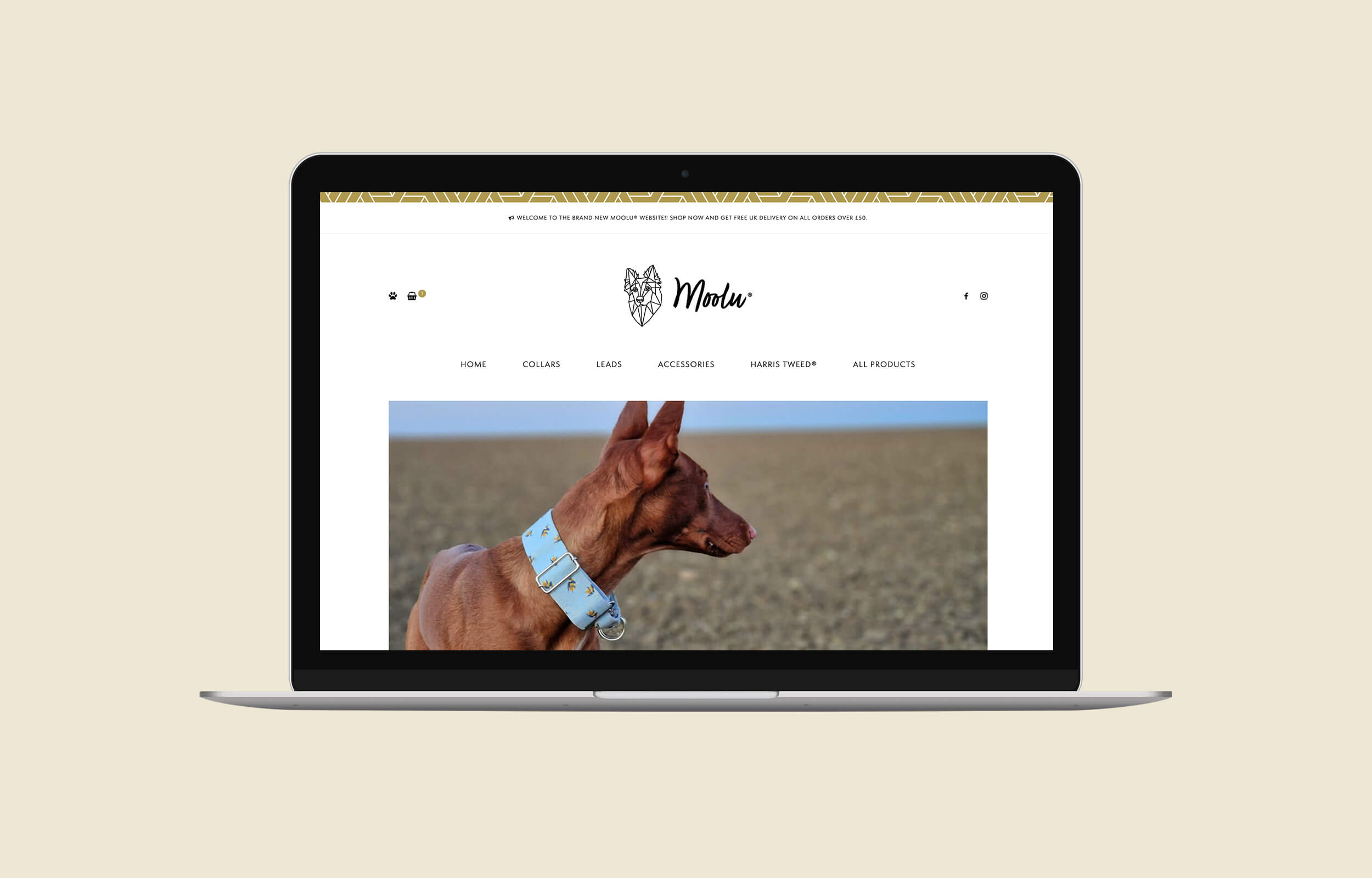 Charly King | Bespoke website design for Moolu