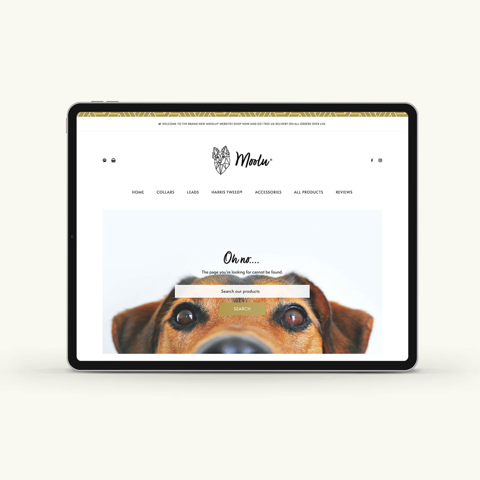 Charly King | Bespoke website design for Moolu