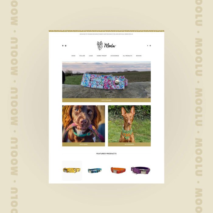 Charly King | Bespoke website design for Moolu